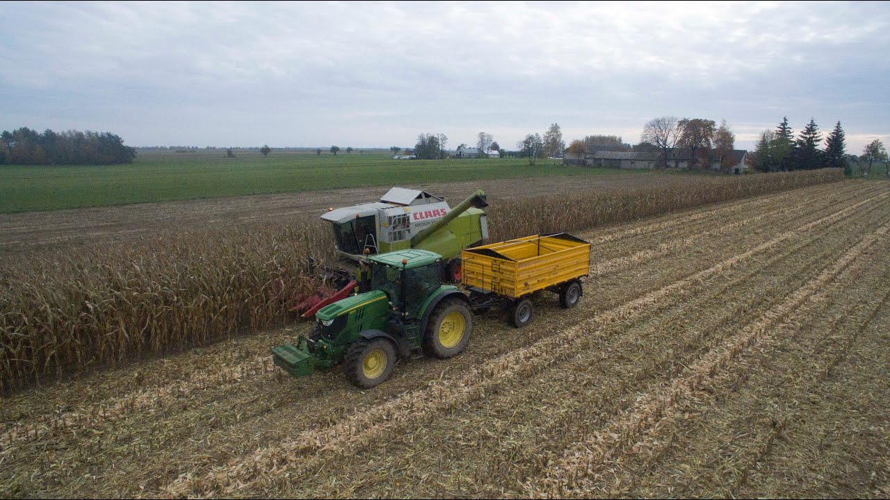 ★★CLAAS MEDION 340★★ koszenie kukurydzy na ziarno★★
