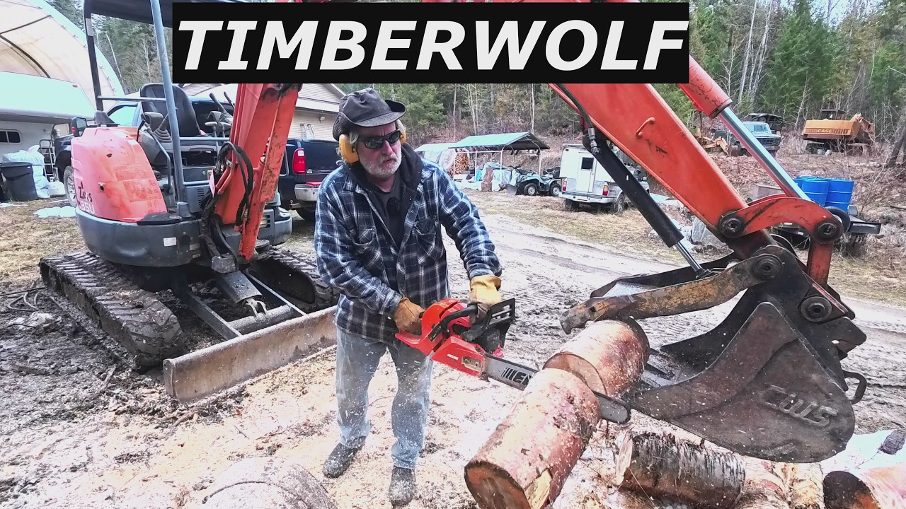 Эхо Тимбер Вулф и Береза.