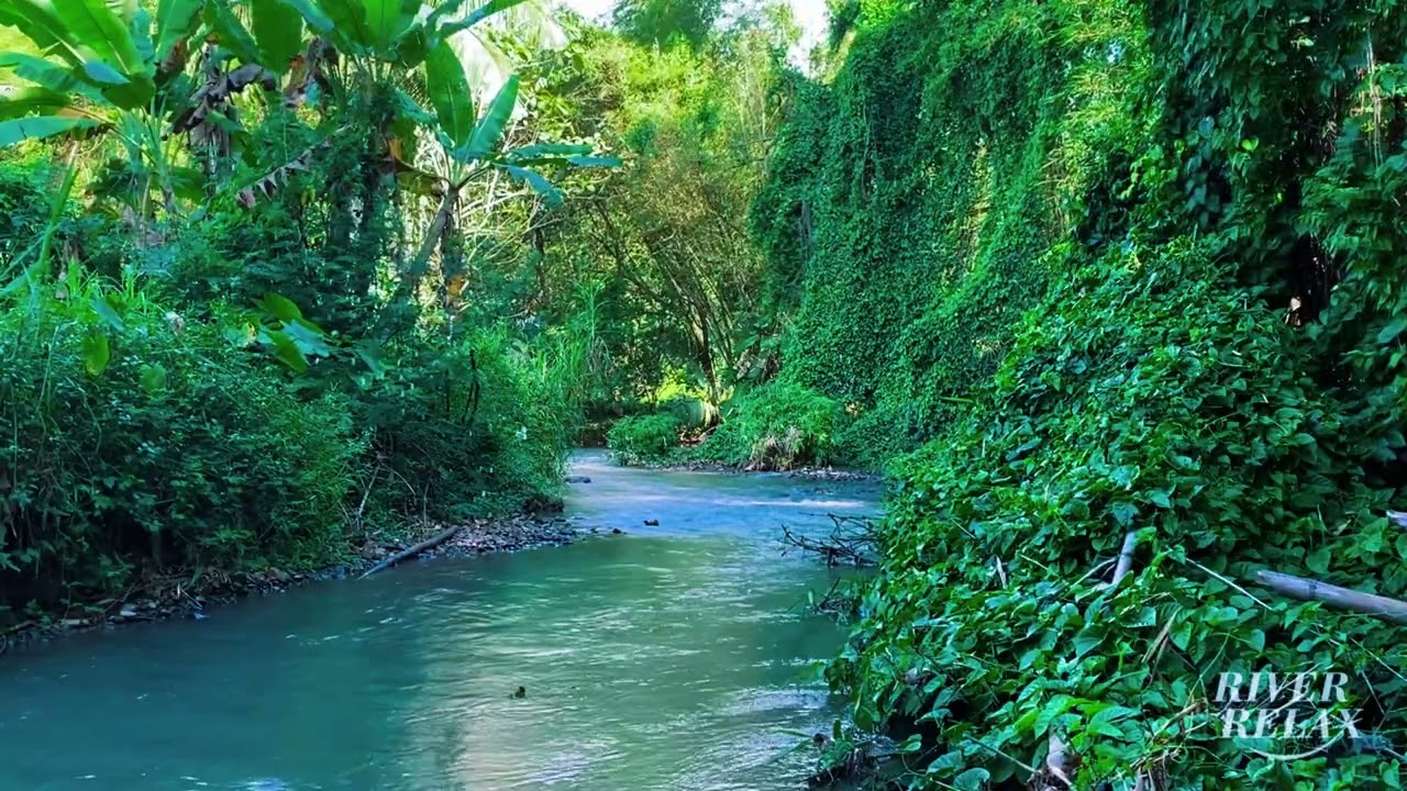 Can't Sleep Tonight? 😴 | River Sounds – Flowing Stream to Unwind, Focus, and Sleep Calmly All Night