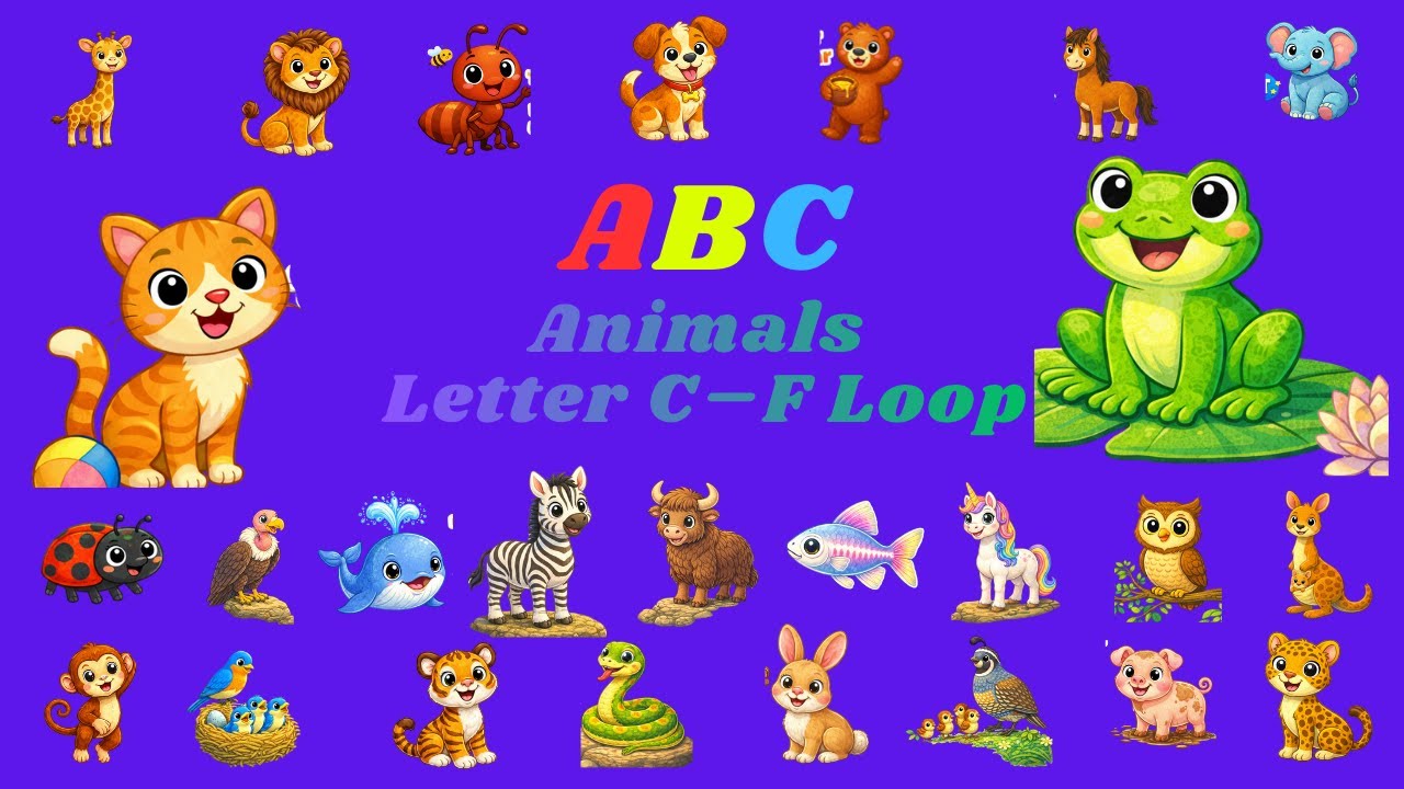 ABC Zoo Animals – Part 13 – Letter E, E Is For Elephant | Nursery Rhyme for Kids | Kid TV 365