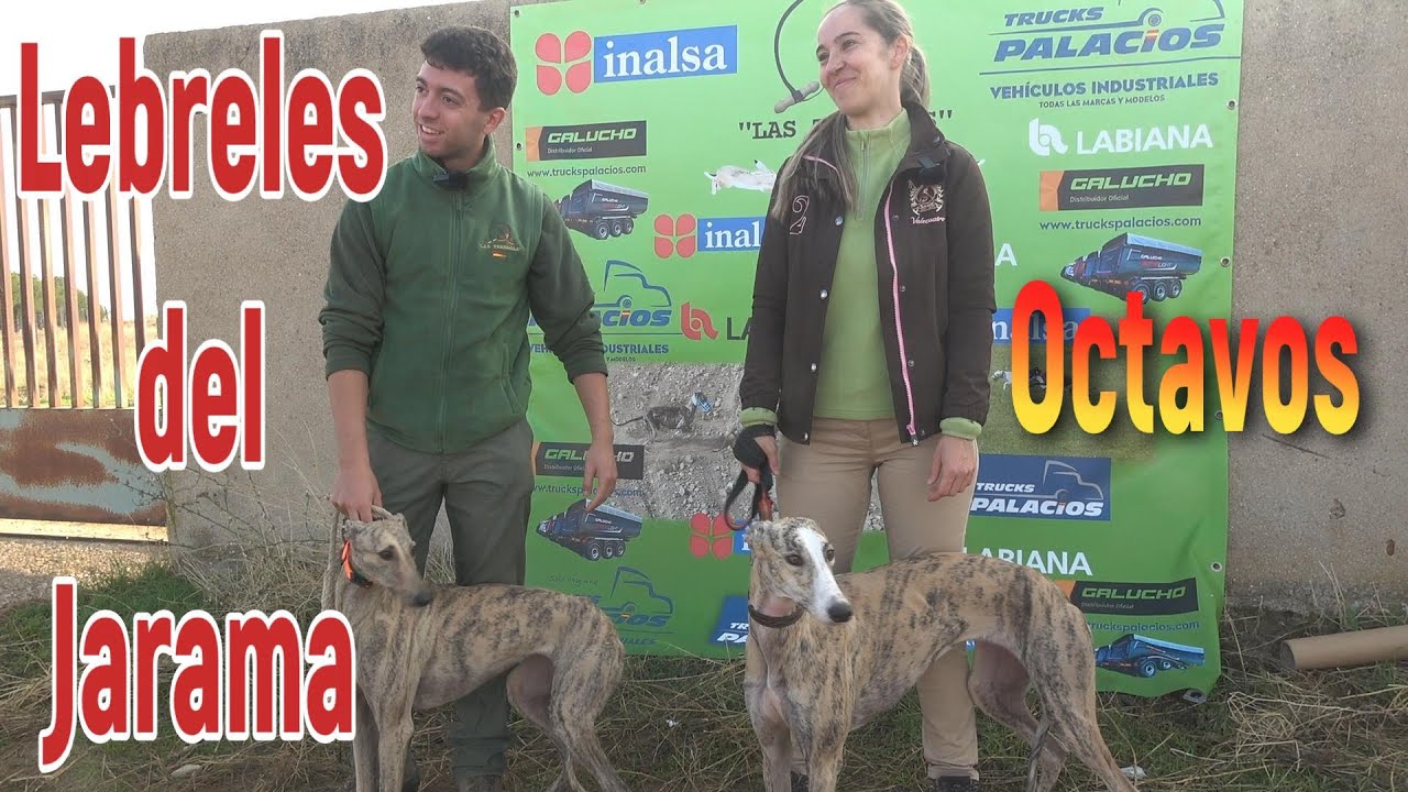 Club Lebreles del Jarama, fase de Octavos 2024