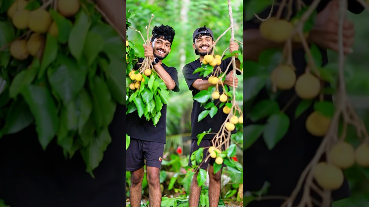 A fruit native to the sri lanka down south (donka) 😋 #shorts #trending #food #cooking