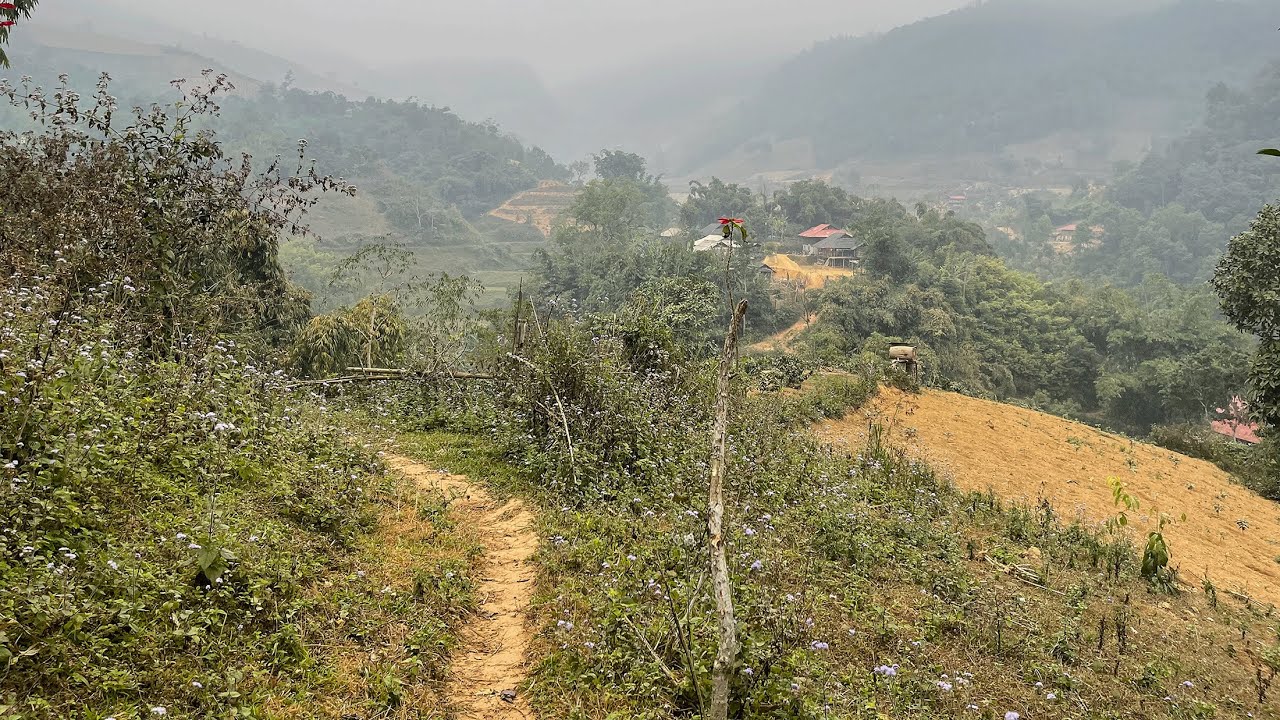 POV: Walking amidst the daily life of the village | POV Walking with Natural Sound