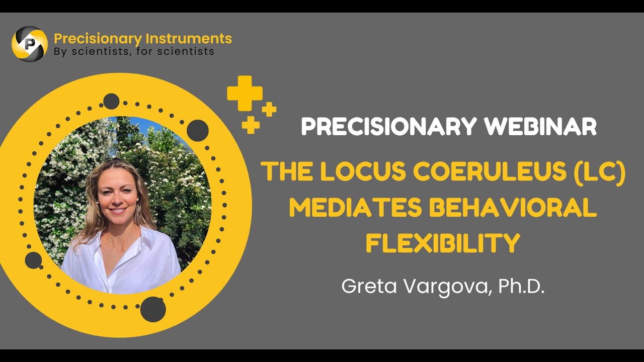 Precisionary Webinar: Greta Vargova on 