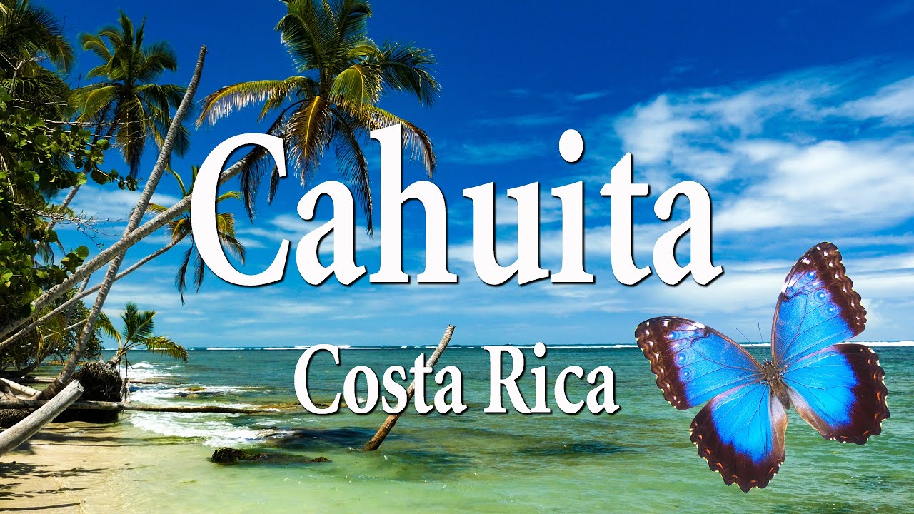 Карибское побережье Коста-Рики, Кауита / Cahuita National park, Costa Rica