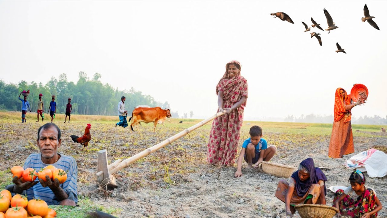 চরের গহীন দ্বীপের যাযাবর জীবন | কাদেরের চর |The Remote Island of Bangladesh  