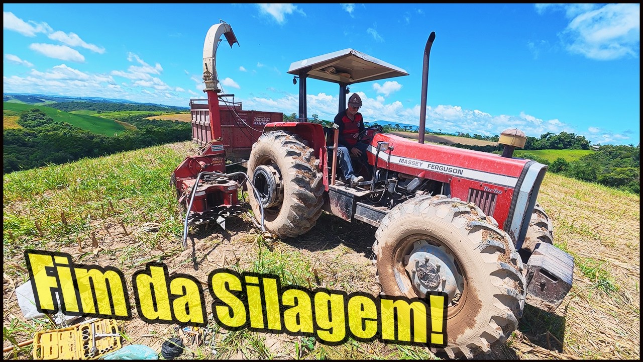 PEGAMOS O MASSEY FERGUSON 292 PARA TERMINAR O CORTE DA SILAGEM!