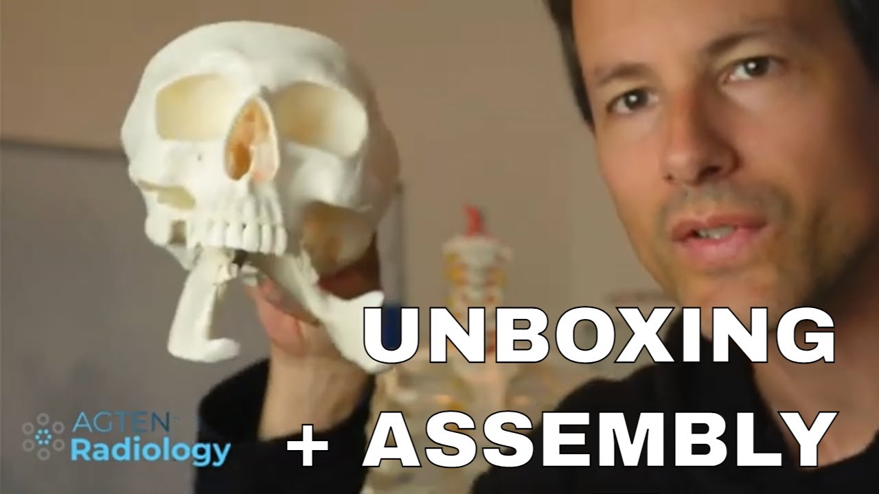 Full-size Skeleton Unboxing and Assembly by Radiologist