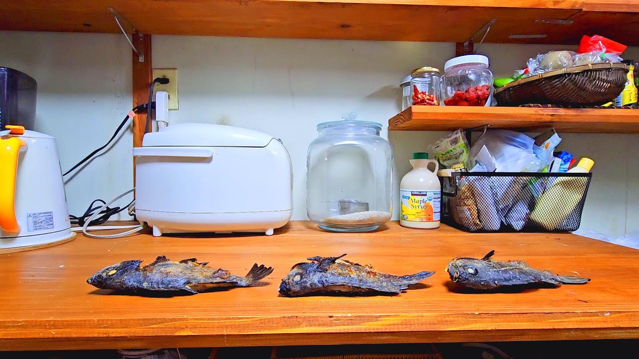 食べる姿はまさに【獣！】最高の咀嚼音で食べます！