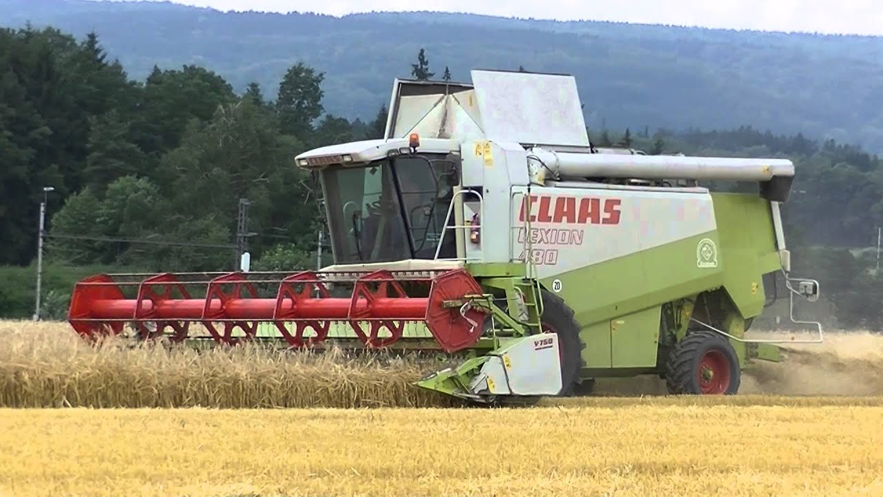 Sklizeň ječmene Zod Žichlínek