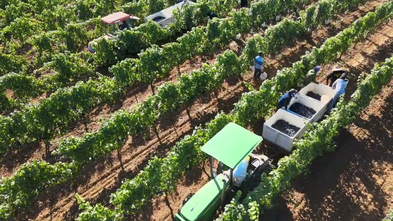 King Estate Winery