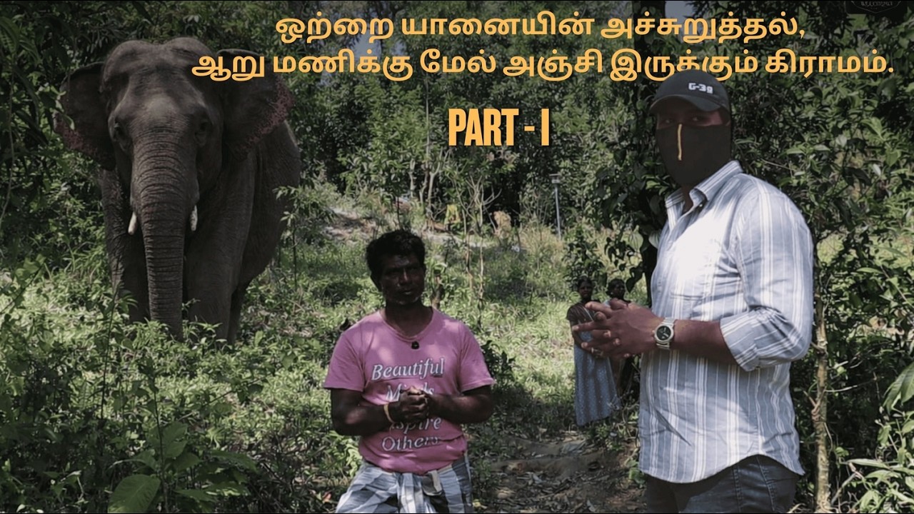 Taskar threatening a Tribal village at Valparai #valparai #wildanimals #wildlife #elephant #vlog 