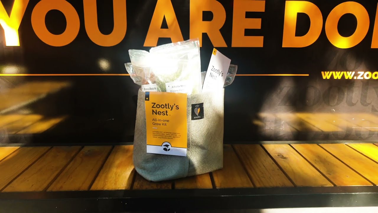 Zootly's Nest - Germinating your seed