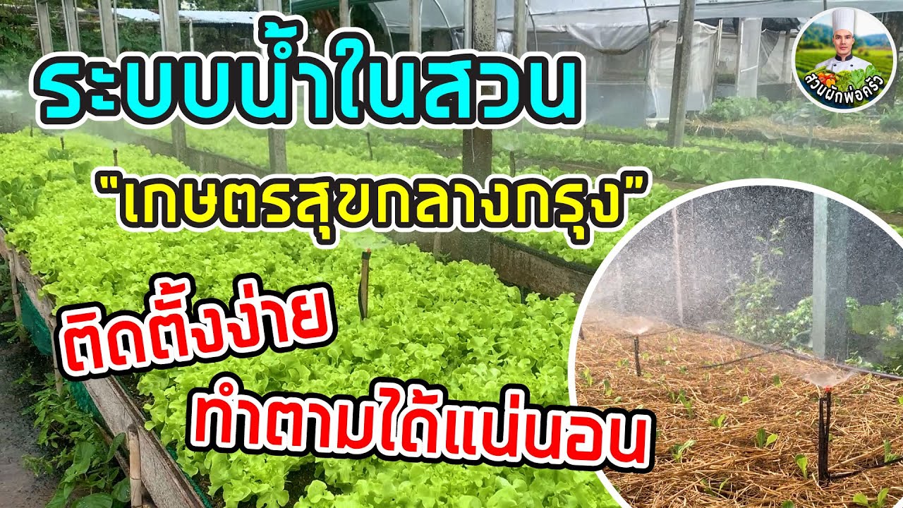 Set up water system | วิธีติดตั้ง ระบบน้ำ ในสวนอย่างละเอียด | สวนผักพ่อครัว