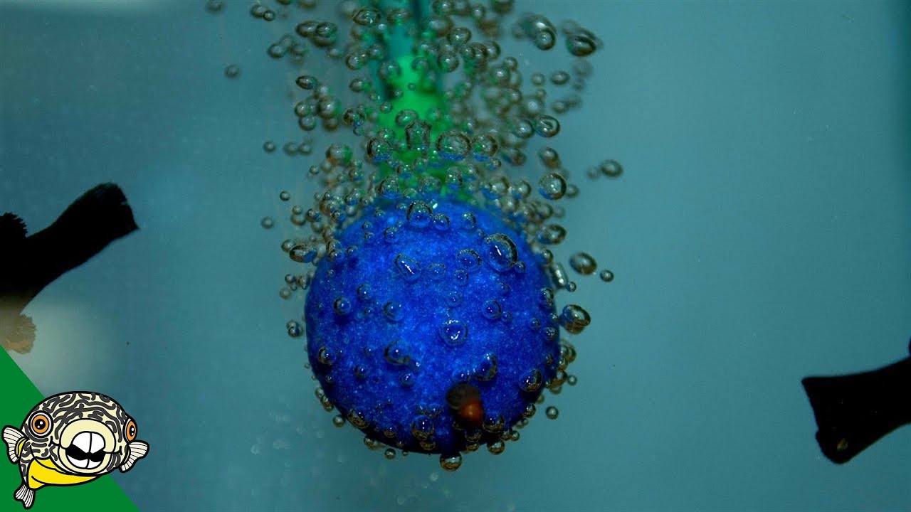 Airstones or Sponge Filters - Get one. Maximize Oxygen Easily.
