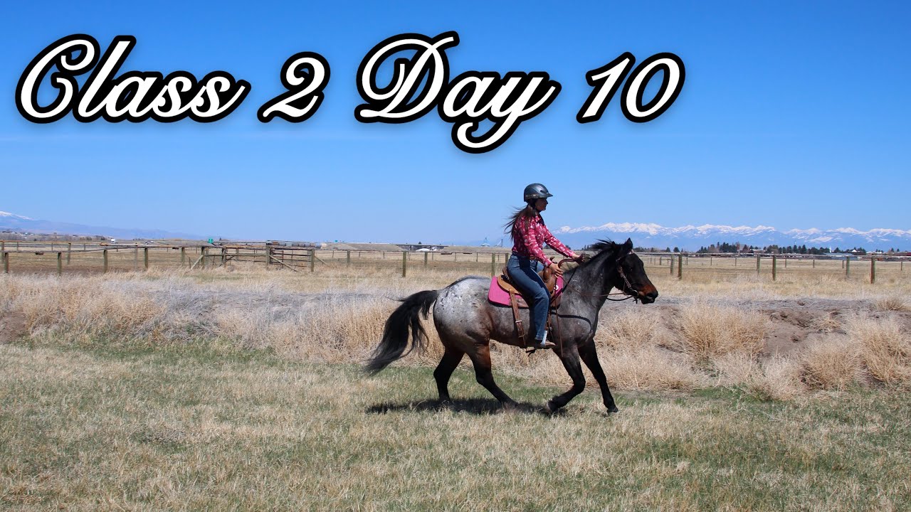 Nearing the End | Horsemanship Class 2 Day 10