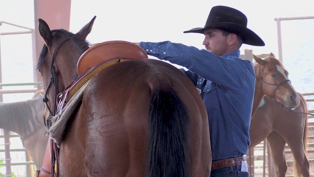 Young Ranchers Colt Starting Clinic