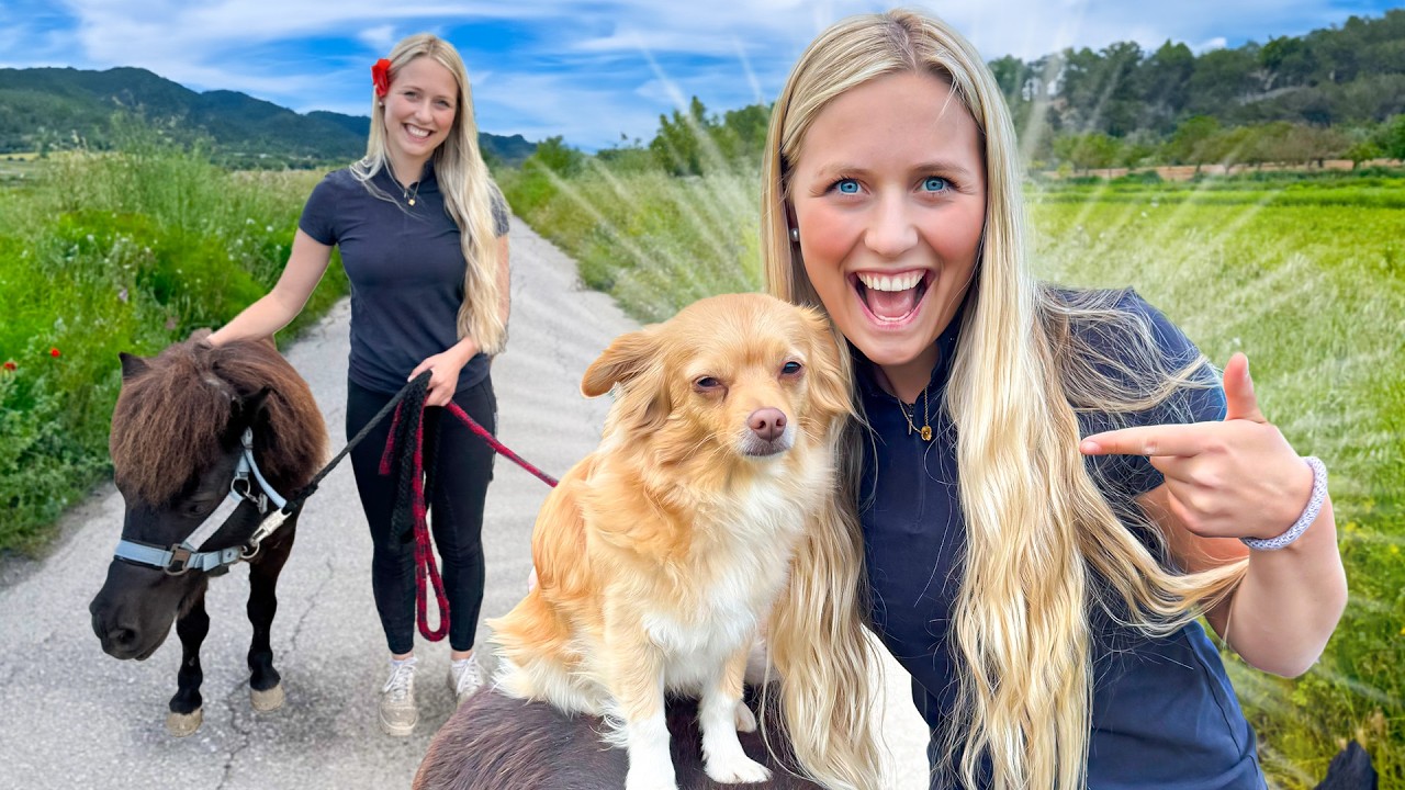 KIWI BESTIMMT den Tag!