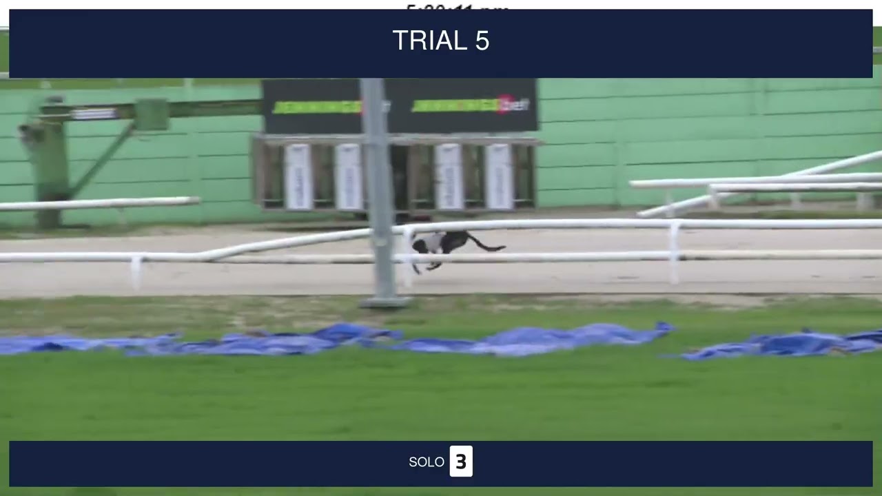 Nottingham Trials on 16th March 2026