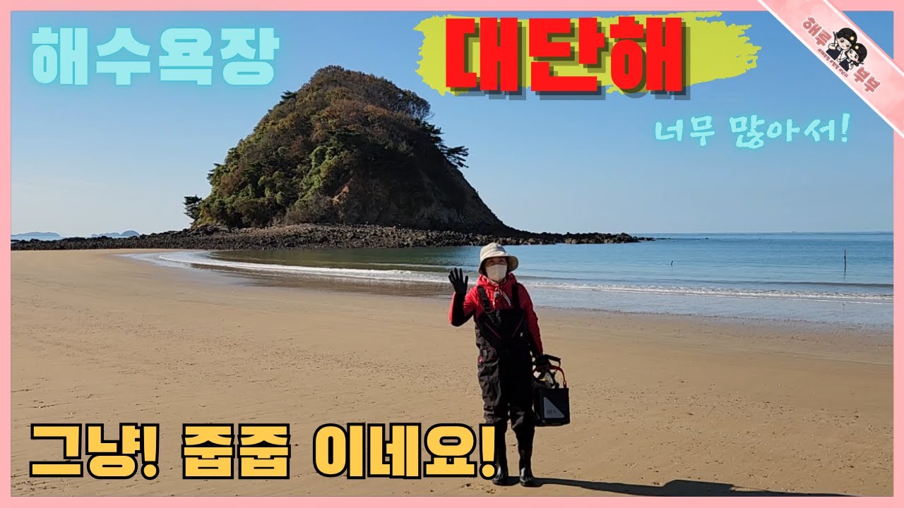 안면도 해수욕장에서 마음 편하게 무한대로 잡아가는 곳