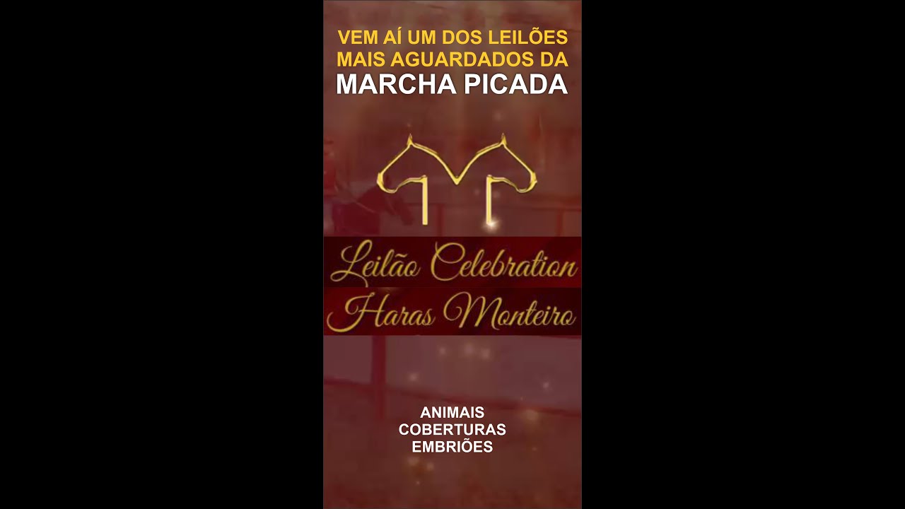 LEIL&Atilde;O HARAS MONTEIRO