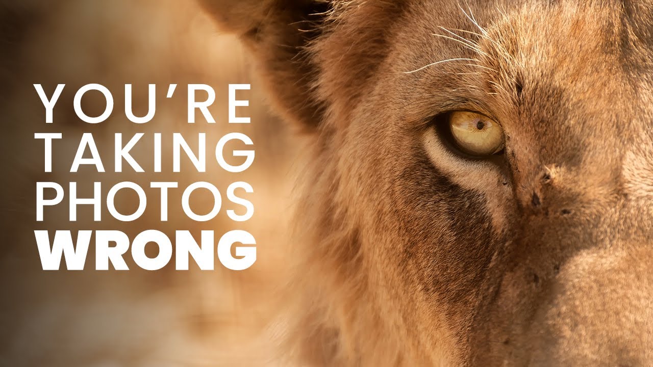 How to Make Photos That Feel Alive (Not Just Look Good)