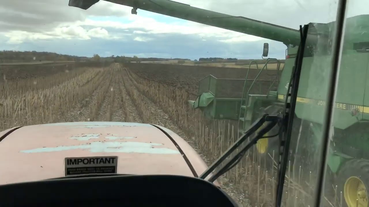 Farm Clips - Combining Sunflowers 🌻