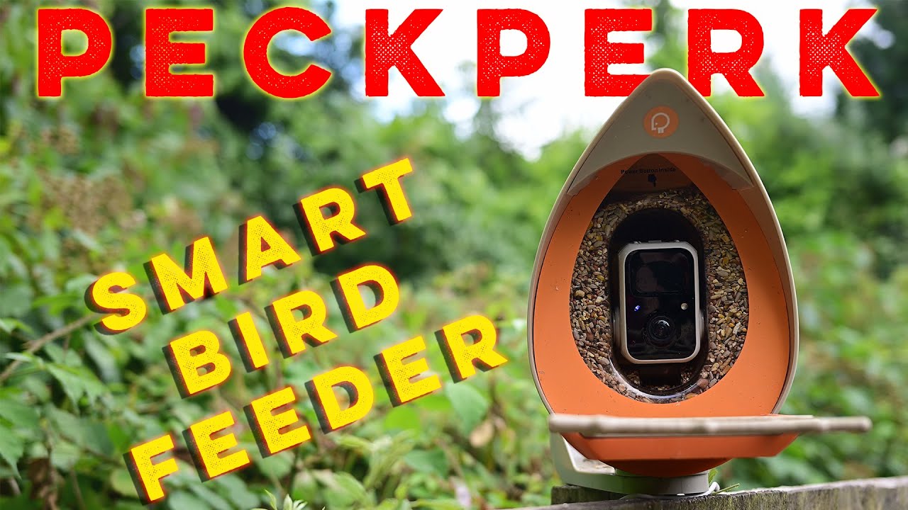PeckPerk Smart Bird Feeder set up and review | AI recognition | WIFI | Solar powered