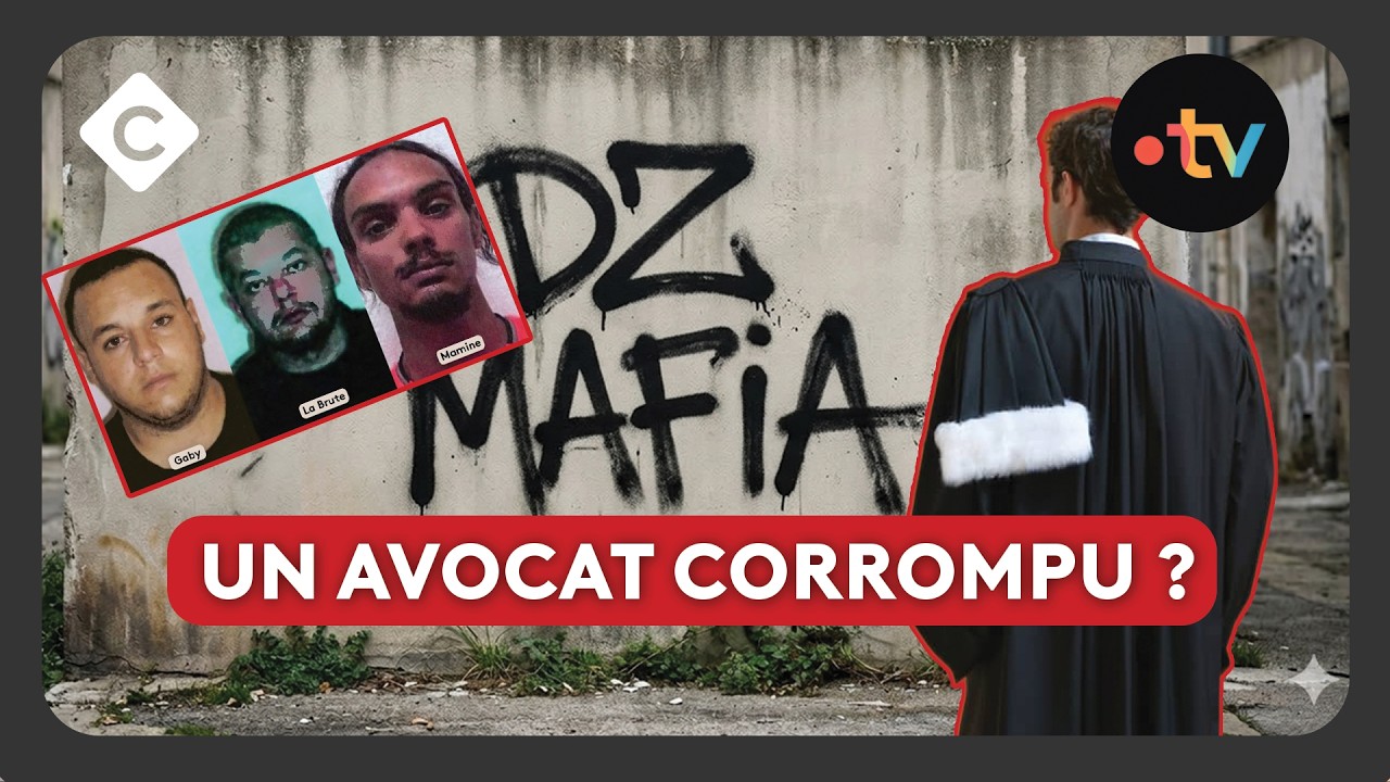 DZ Mafia : 42 interpellations, 3 chefs présumés en garde à vue