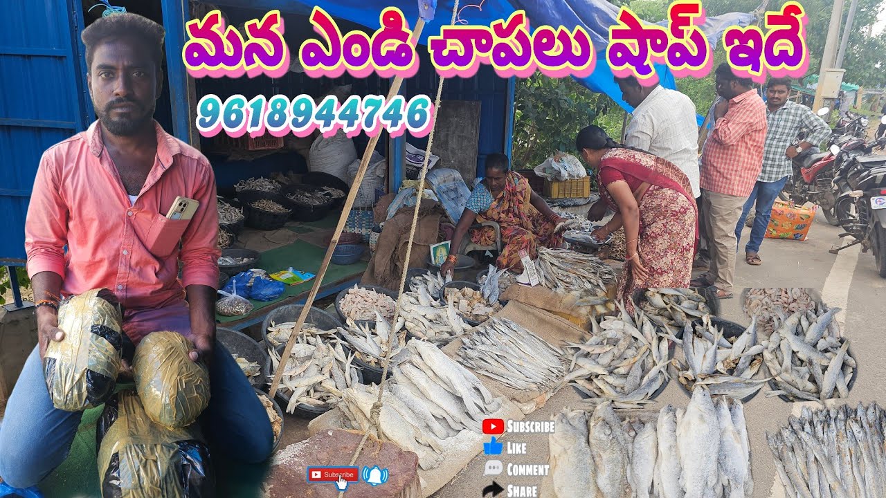 ఇదే మన ఎండి చాపల షాపు చూడండి #villagevideos #fishing #fish #dryfish #penumudi dryfish #bestdryfish