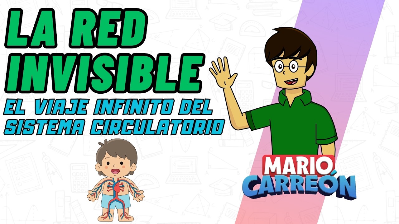 La red invisible: El viaje infinito del Sistema Circulatorio