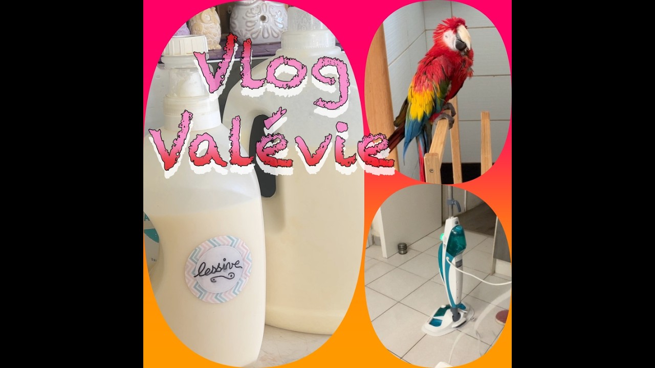 VLOG Fev 26/VALEVIE ≈Test balai vapeur Polti, DIY lessive, etc