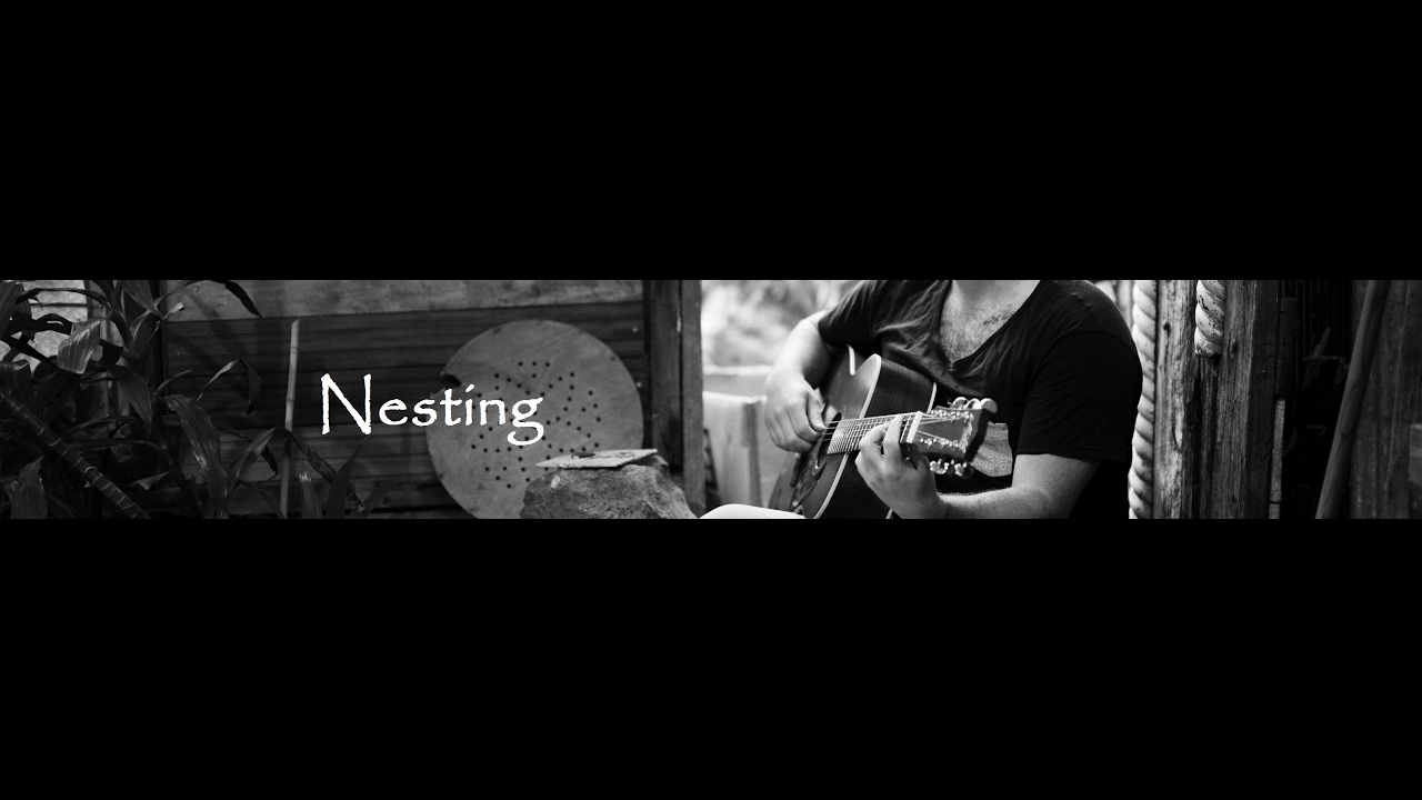 Mona Ray (Nesting Cover) - Leo Kottke