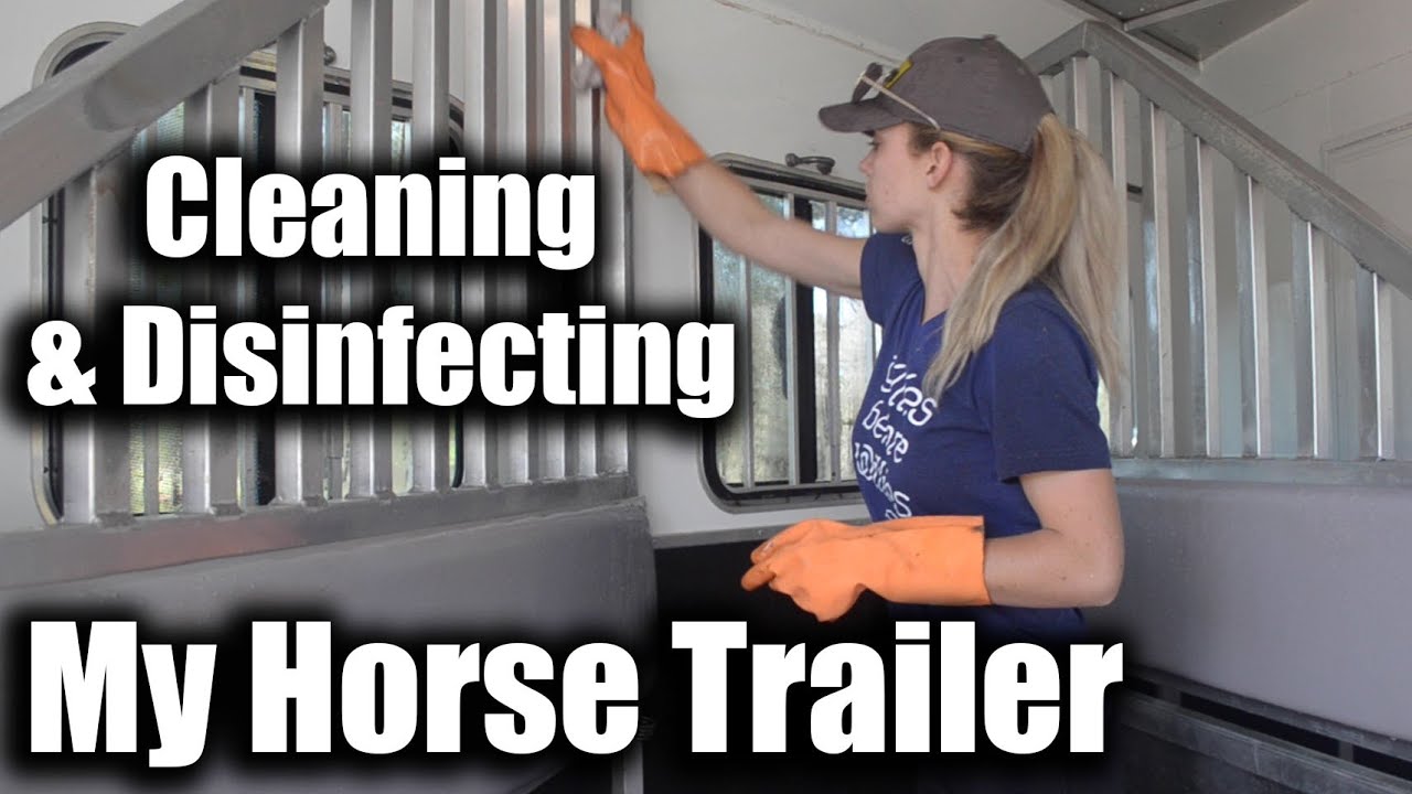 Cleaning & Disinfecting My Horse Trailer | EquestrianBliss