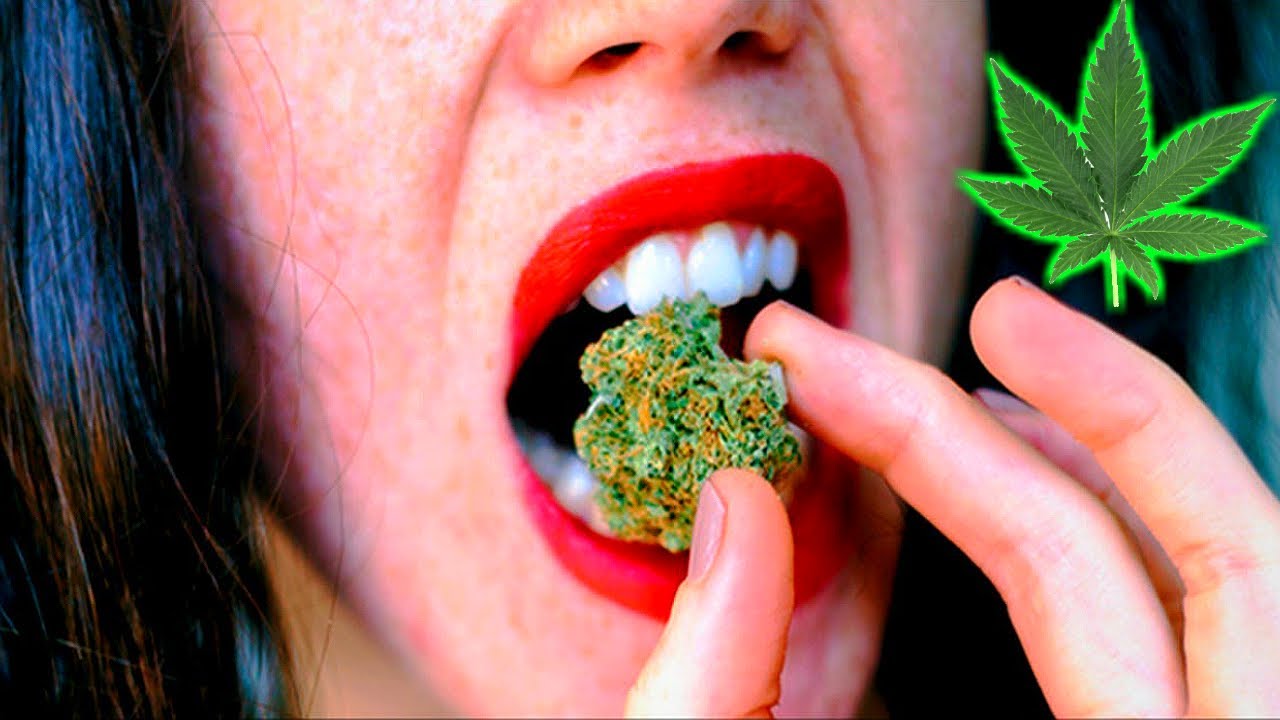Top 10 Things To Do While High!