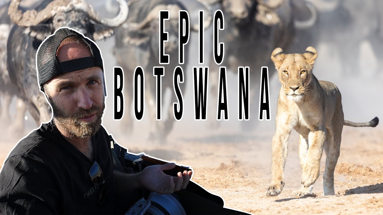 Elephants, Lions and Unicorns: Wildlife Photography in Botswana