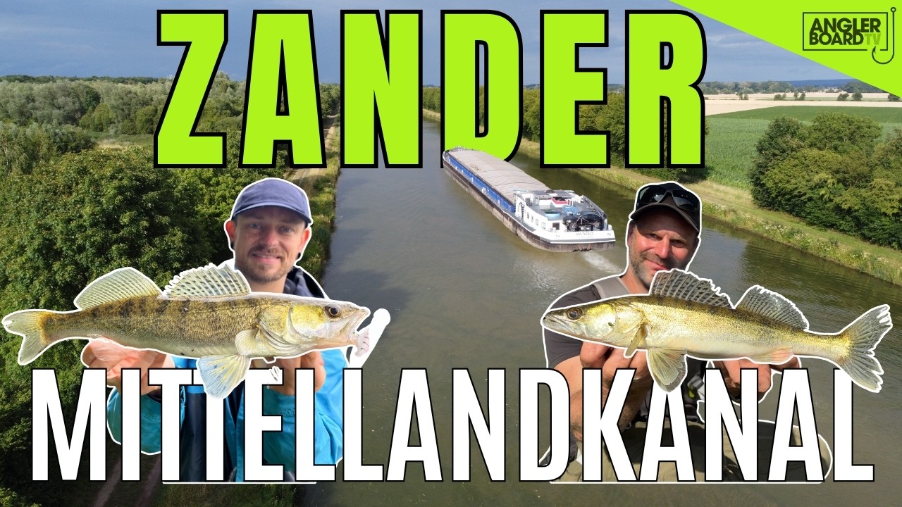 Zanderangeln am Mittellandkanal | Unterwegs vom Ufer auf Zander