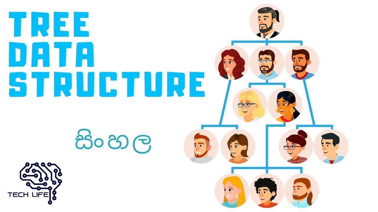 Tree Data Structure Sinhala සිංහල