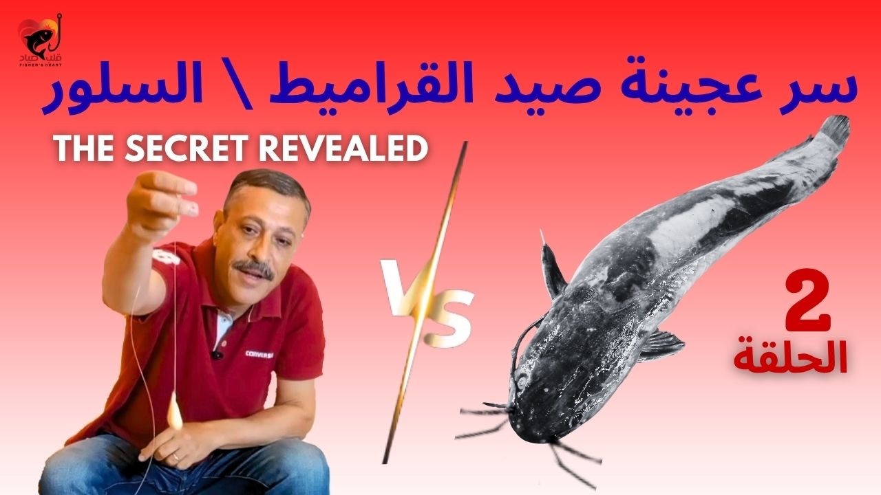 سر العجينة السحرية لصيد القرموط \ السلو \ الجري | ثابتة و بتجيب وحوش القراميط
