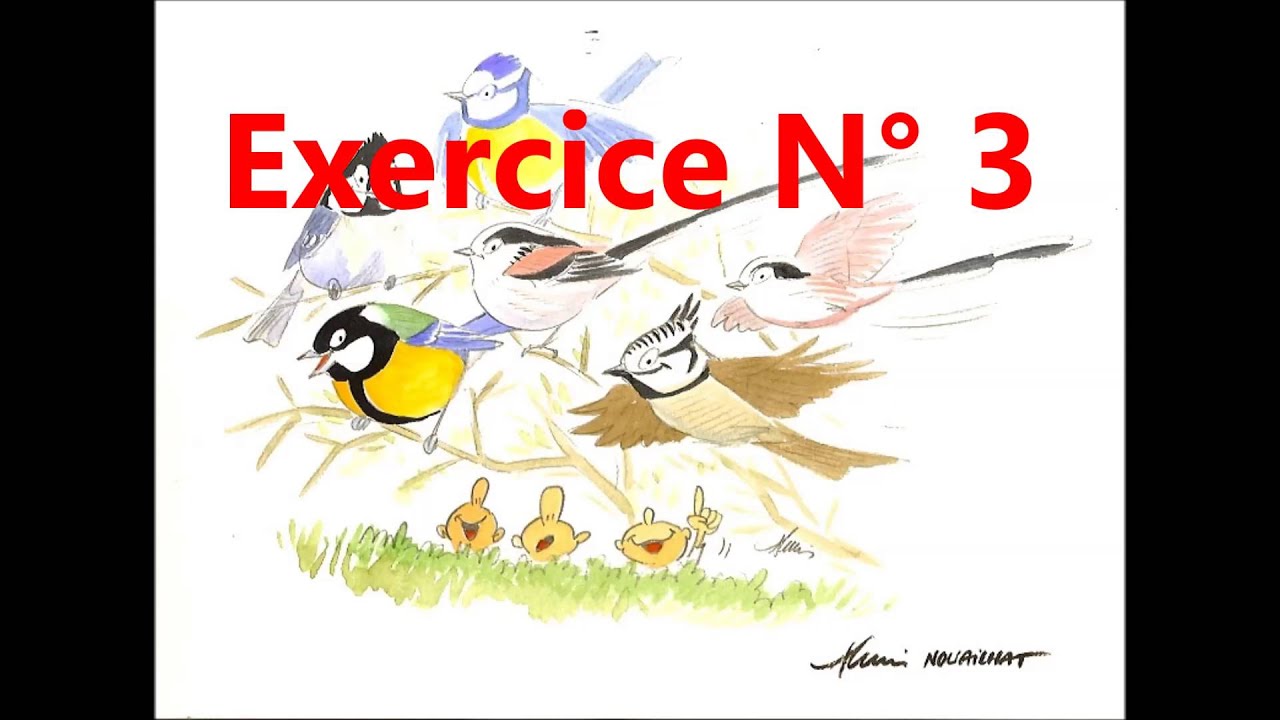 RECONNAITRE LES CHANTS D'OISEAUX : Exercice N°3