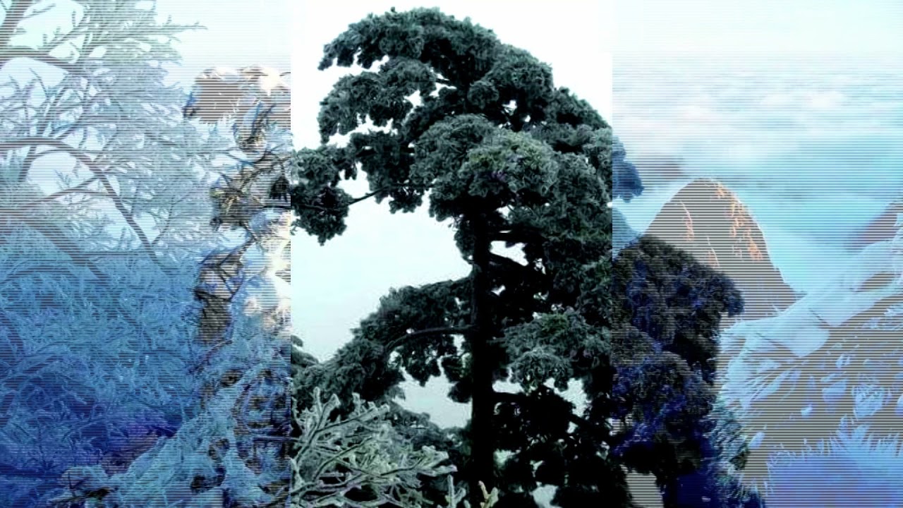 Snow Scenery of Huangshan Mountain - CHINA (HD1080p)