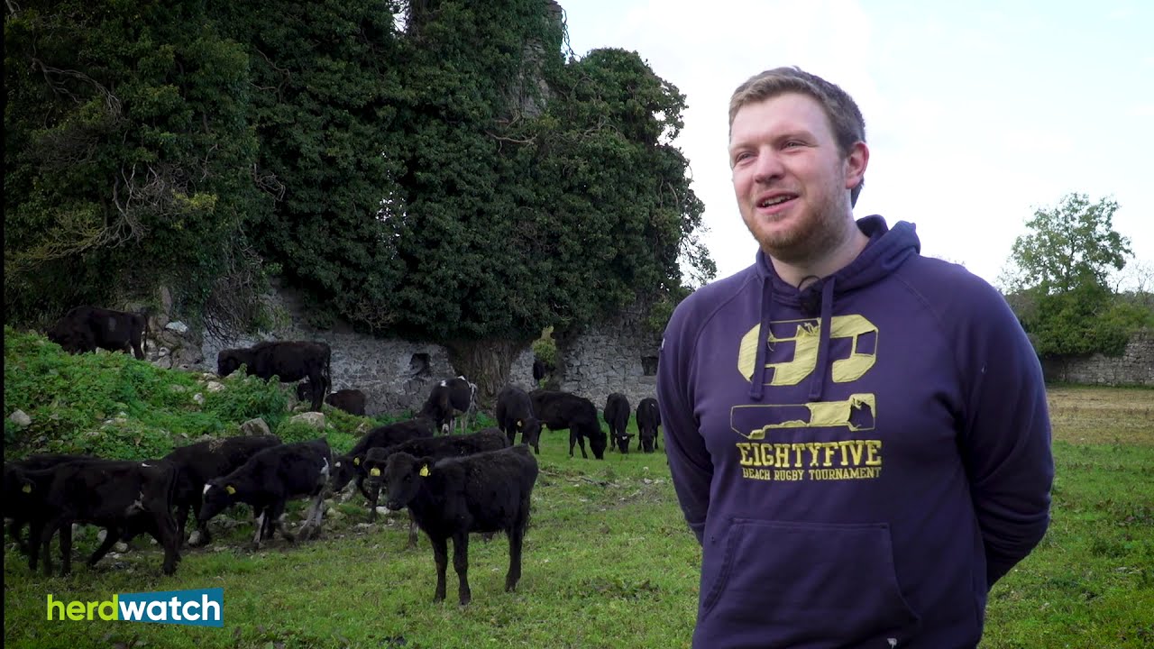 FARMER PHIL - From farming simulator to YouTube farming superstar