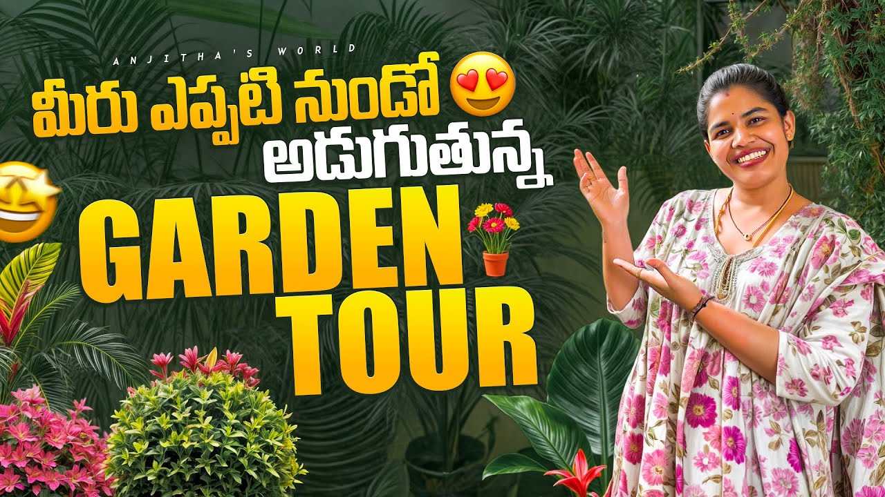 Garden tour// intlo garden ni ala set cheskovachu //garden ideas #vlog #viralvideo #vlogs #trending