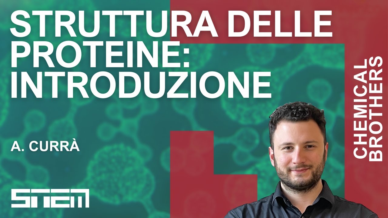 Struttura delle proteine: introduzione