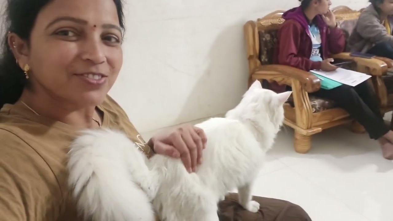 २६ जानेवारी ची तयारी ✨ स्नोवी चा लाड 🐈 अचानक वाई ला गेले @seemaschannel7433 