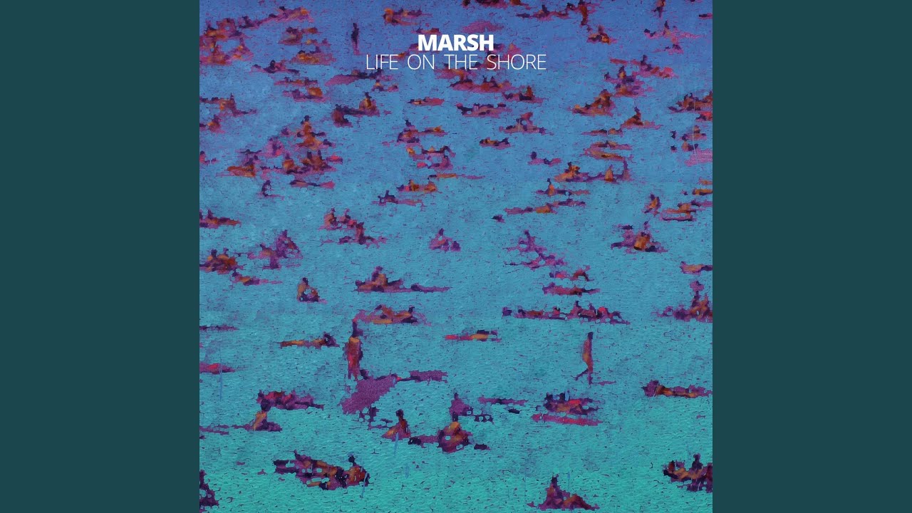 Life On The Shore