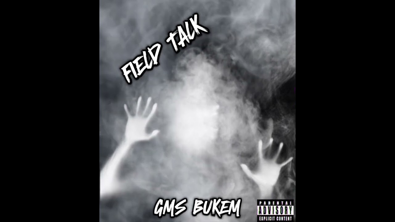 Gms bukem x F1stbreak -Field Talk (Official Audio)