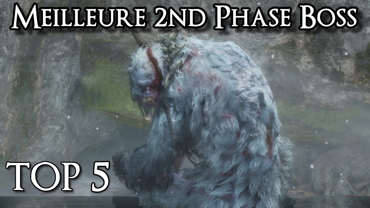 Top 5 - Meilleures Seconde Phase de Boss dans les SoulsborneDieTwice