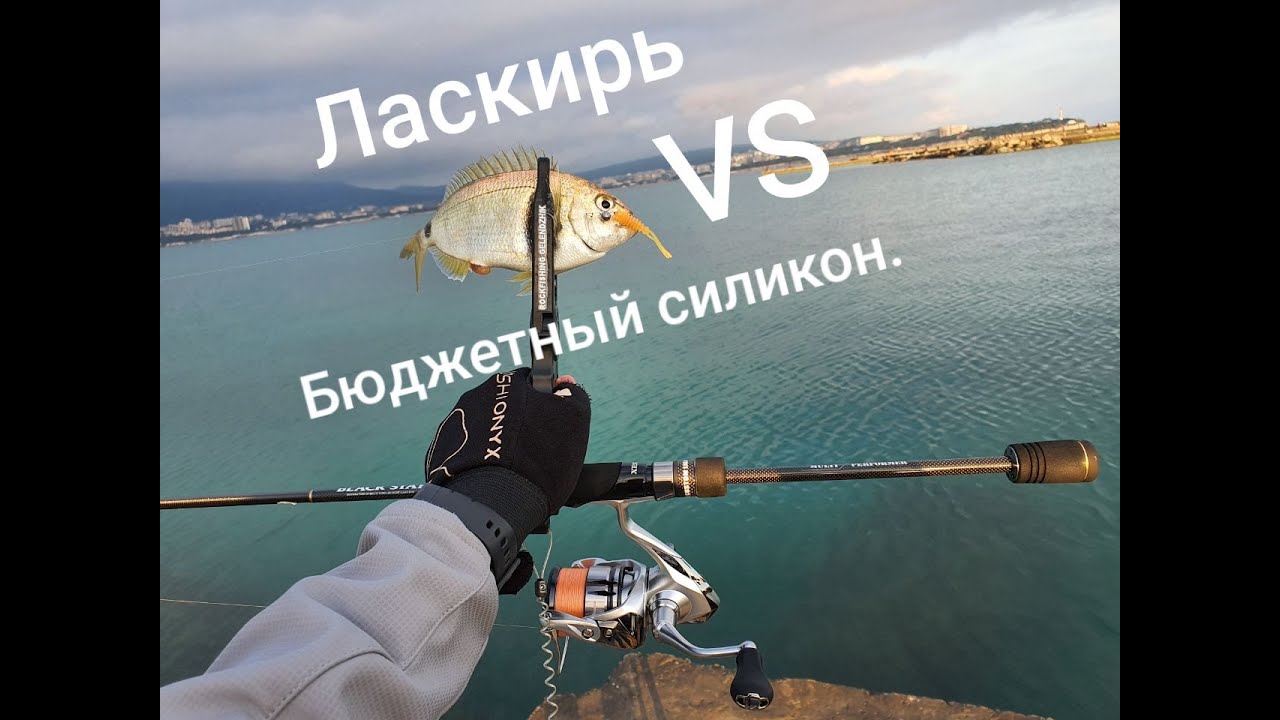 Ласкирь VS Бюджетный силикон.