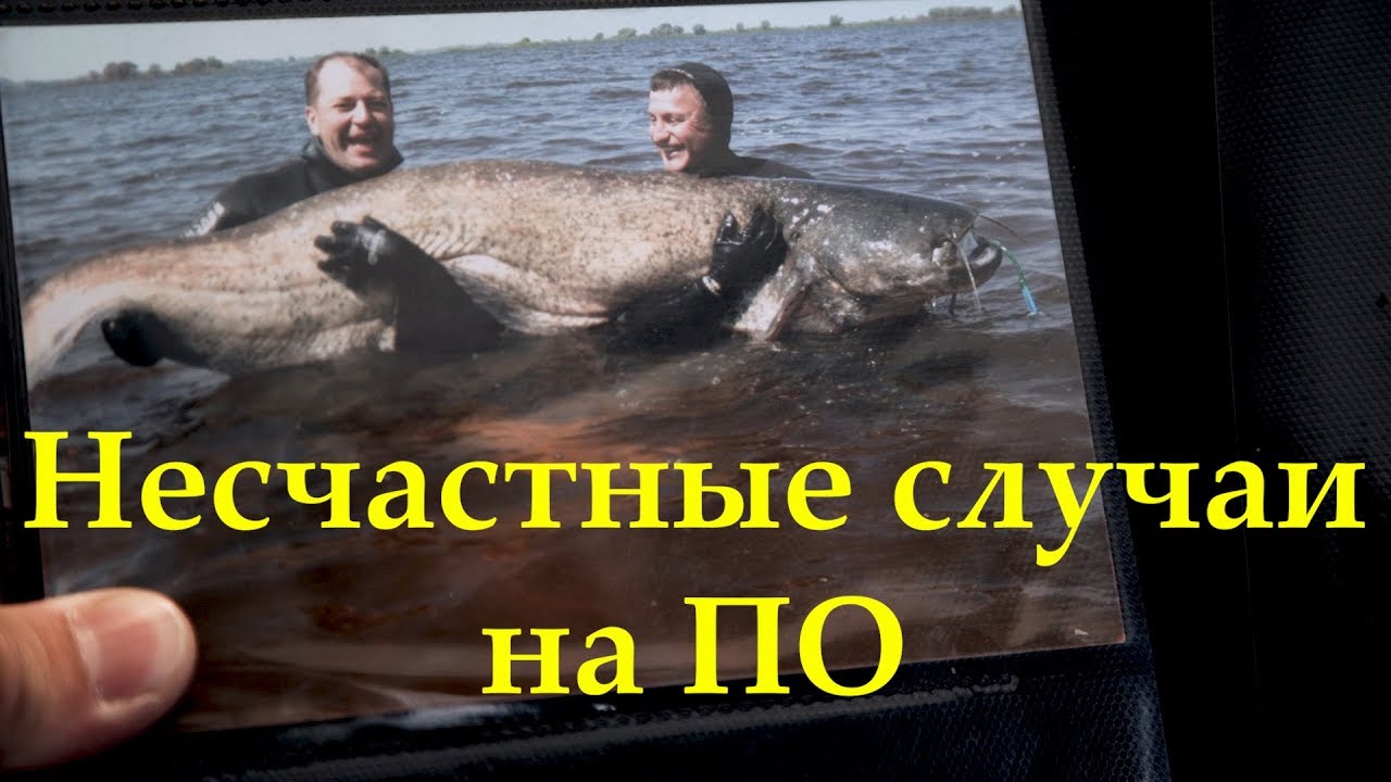 Несчастные случаи на подводной охоте!